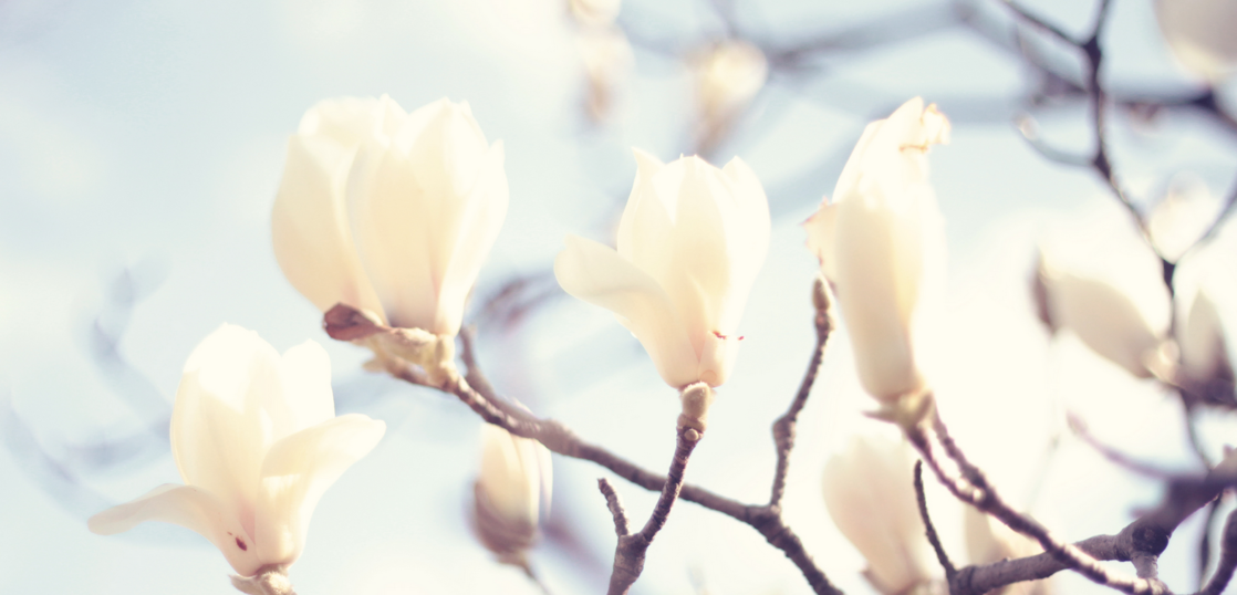 Zozoはなぜ人気なのか 見に行ったら予算より2万以上も買っていた理由 奈良でファミリーや女性が集客できるデザイン