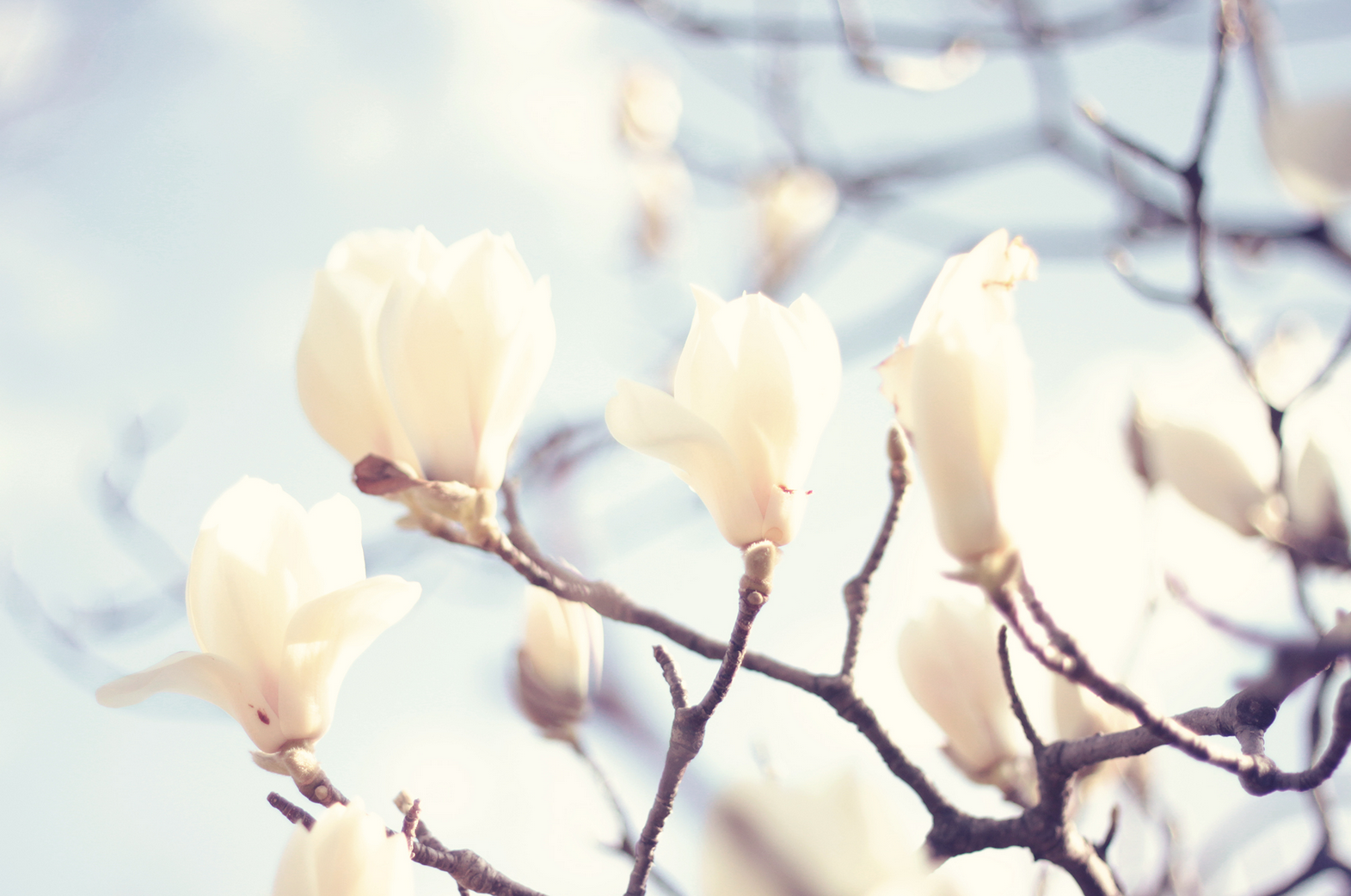 ZOZOはなぜ人気なのか？見に行ったら予算より2万以上も買っていた理由 | 奈良のブランディングデザイン事務所